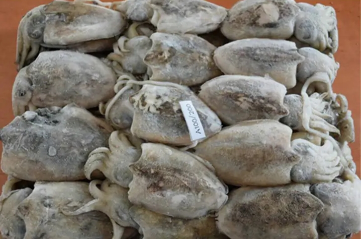 馬來西亞冷凍墨魚進口報關(guān)流程 馬來西亞冷凍墨魚進口報關(guān)流程