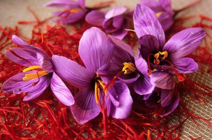 伊朗西紅花進(jìn)口清關(guān)流程到廣州白云機場藥材案例