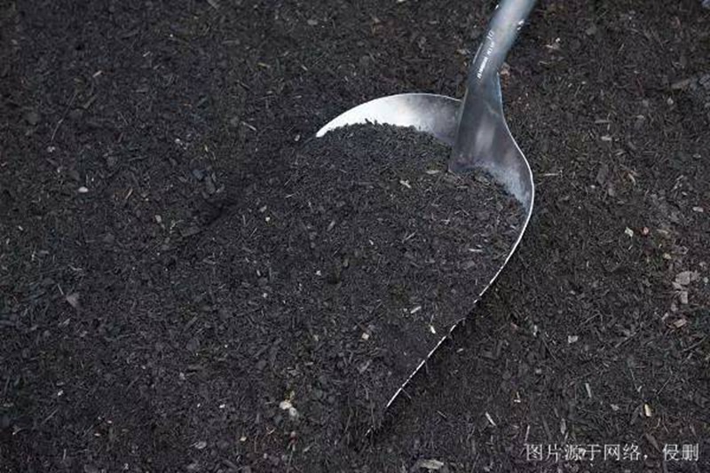 青島化肥進口報關(guān)資料