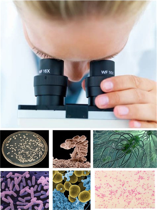 1576028392564385.jpg 上海進(jìn)口水產(chǎn)品清關(guān)