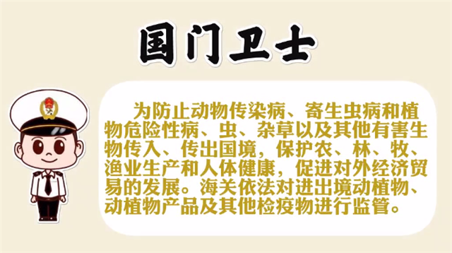 1585790899832991.png 進口豬肉清關代理