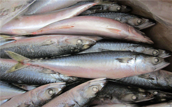 俄羅斯水產(chǎn)品進(jìn)口報(bào)關(guān)代理公司 俄羅斯水產(chǎn)品進(jìn)口報(bào)關(guān)