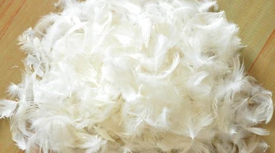 1599529173685858.jpg 鴨毛進(jìn)口報(bào)關(guān)