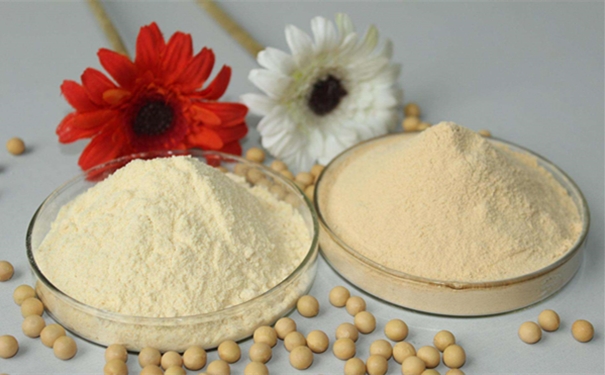 青島食品原料進口清關進口食品基本流程 食品原料進口清關