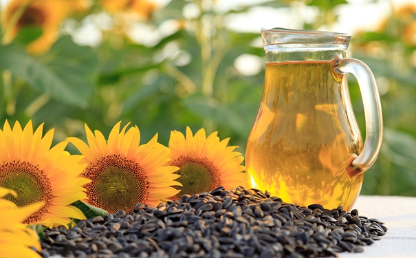 從俄羅斯進口葵花籽油清關的流程,超詳細 俄羅斯進口葵花籽油清關