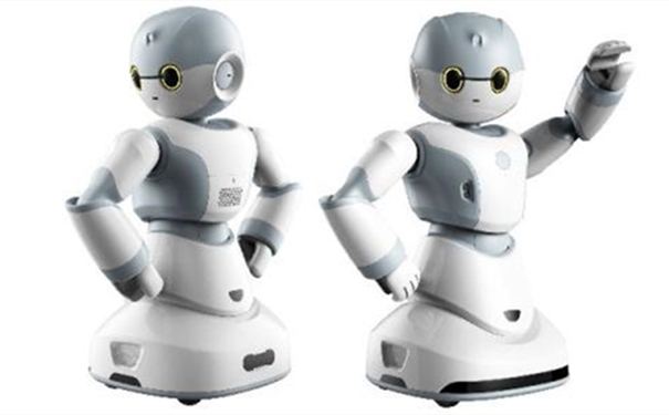 【機(jī)器人進(jìn)口報(bào)關(guān)代理公司】告訴你機(jī)器人進(jìn)口流程 機(jī)器人進(jìn)口報(bào)關(guān)代理公司