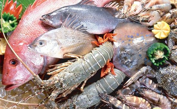 冷凍海鮮進口報關(guān)流程 冷凍海鮮進口所需流程