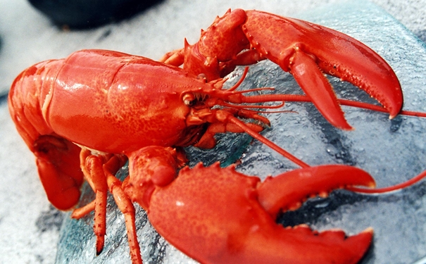 進口冷凍龍蝦清關是如何操作的,操作流程看這里 進口冷凍龍蝦清關