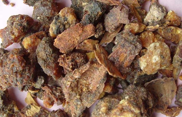 1624009666733965.jpg 沒藥進(jìn)口報(bào)關(guān)代理_副本.jpg