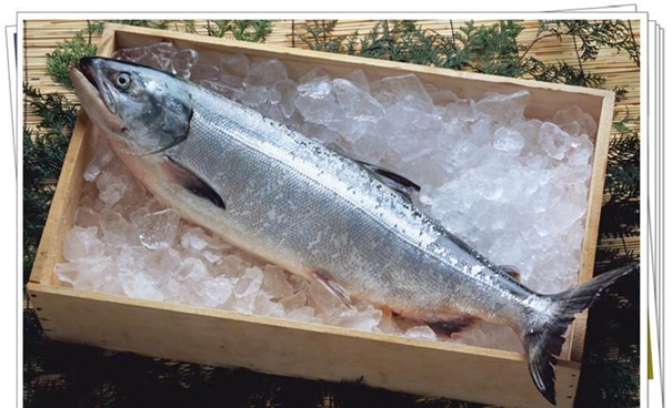 1631095835938531.jpg 上海水產(chǎn)品進(jìn)口報(bào)關(guān)_副本.jpg