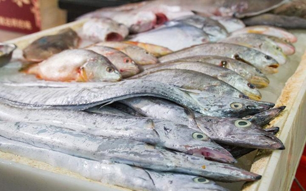 1631095880539377.jpg 上海水產(chǎn)品進(jìn)口報(bào)關(guān)公司_副本.jpg