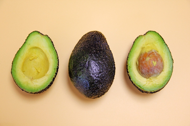 1645097260991620.jpg 墨西哥進口牛油果報關_副本.jpg