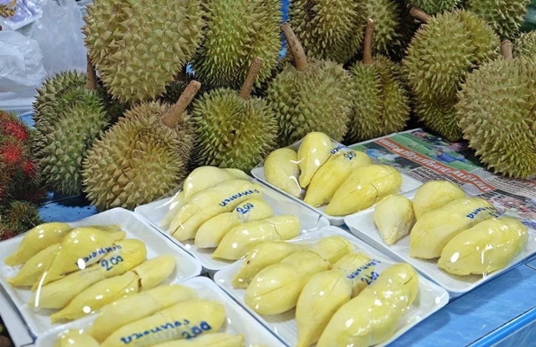 1646726602411396.jpg 進(jìn)口泰國新鮮榴蓮報關(guān)_副本.jpg