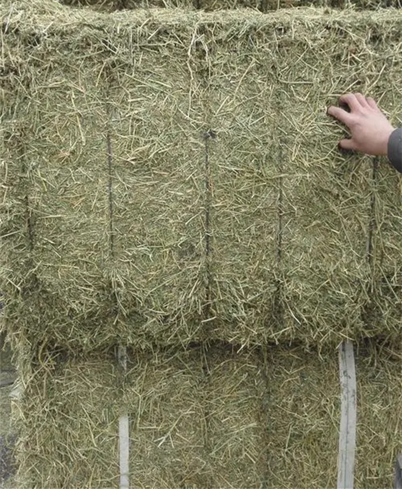 1652697458151839.jpg 苜蓿草進口報關代理公司_副本.jpg