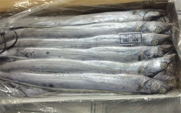 1655375207109224.png 上海冷凍帶魚進口報關(guān)公司.png