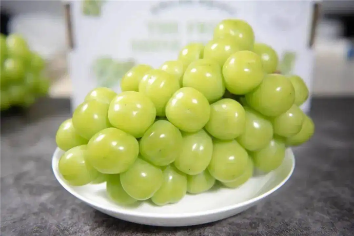 1656494900905121.png 進(jìn)口韓國葡萄報關(guān).png