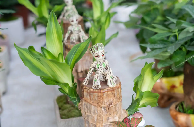 1667555913484890.png 印尼進(jìn)口巴西木報(bào)關(guān).png