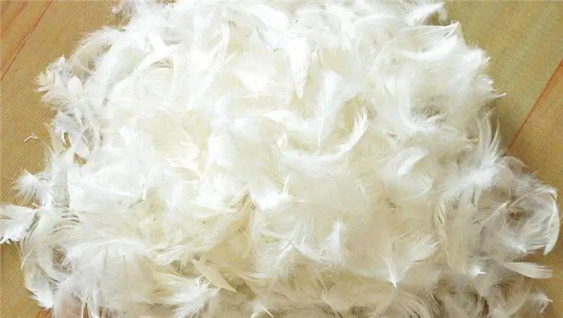 越南鴨毛進口報關資料 越南鴨毛進口報關資料