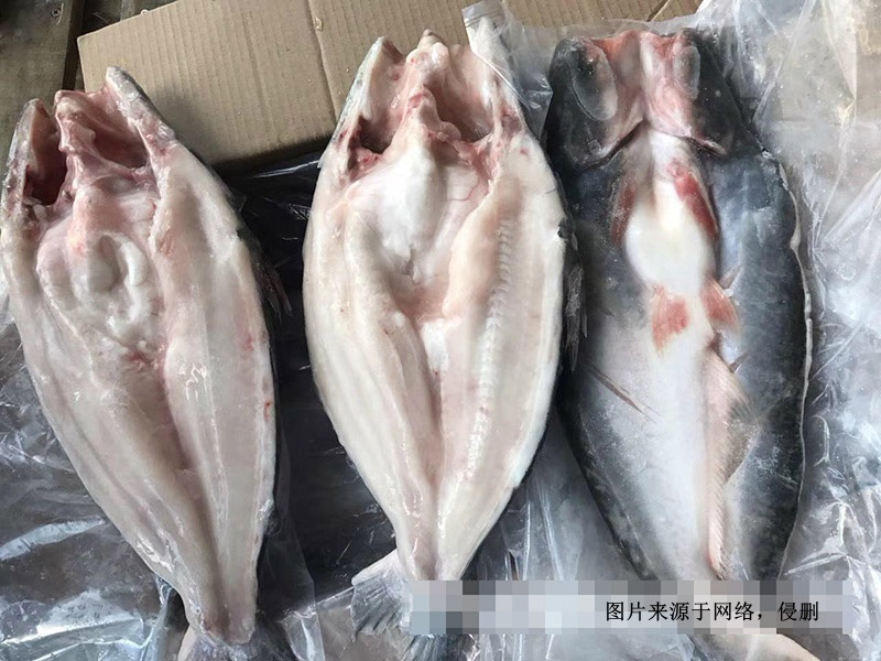 越南冷凍巴沙魚進口報關資料 越南冷凍巴沙魚進口報關資料